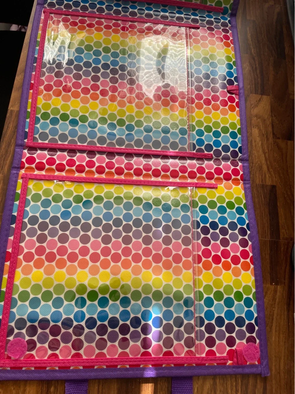 Lisa Frank Storage Case